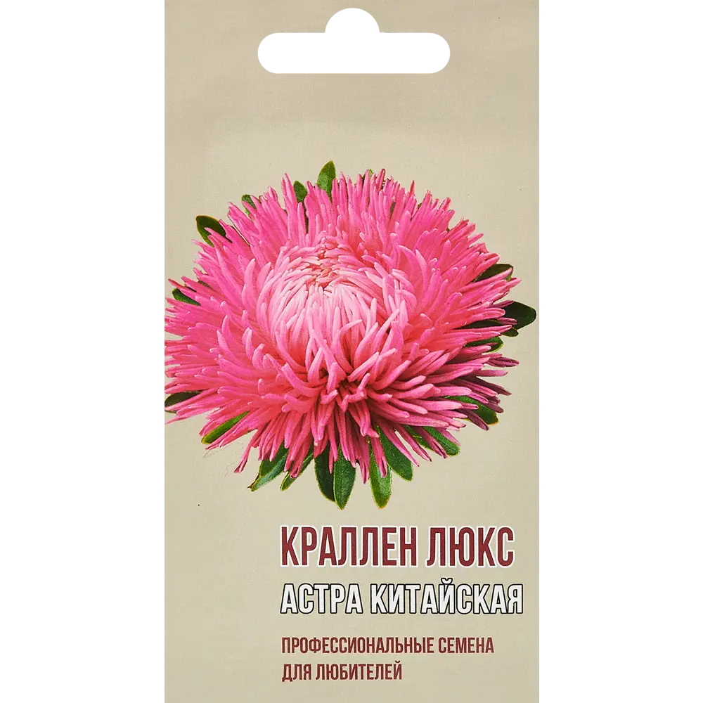 Астра китайская Краллен люкс AGRONI STLM-2096768