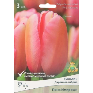 Тюльпан Пинк Импрешн ПОИСК - нежные розовые бутоны для сада, 3 луковицы 85205537