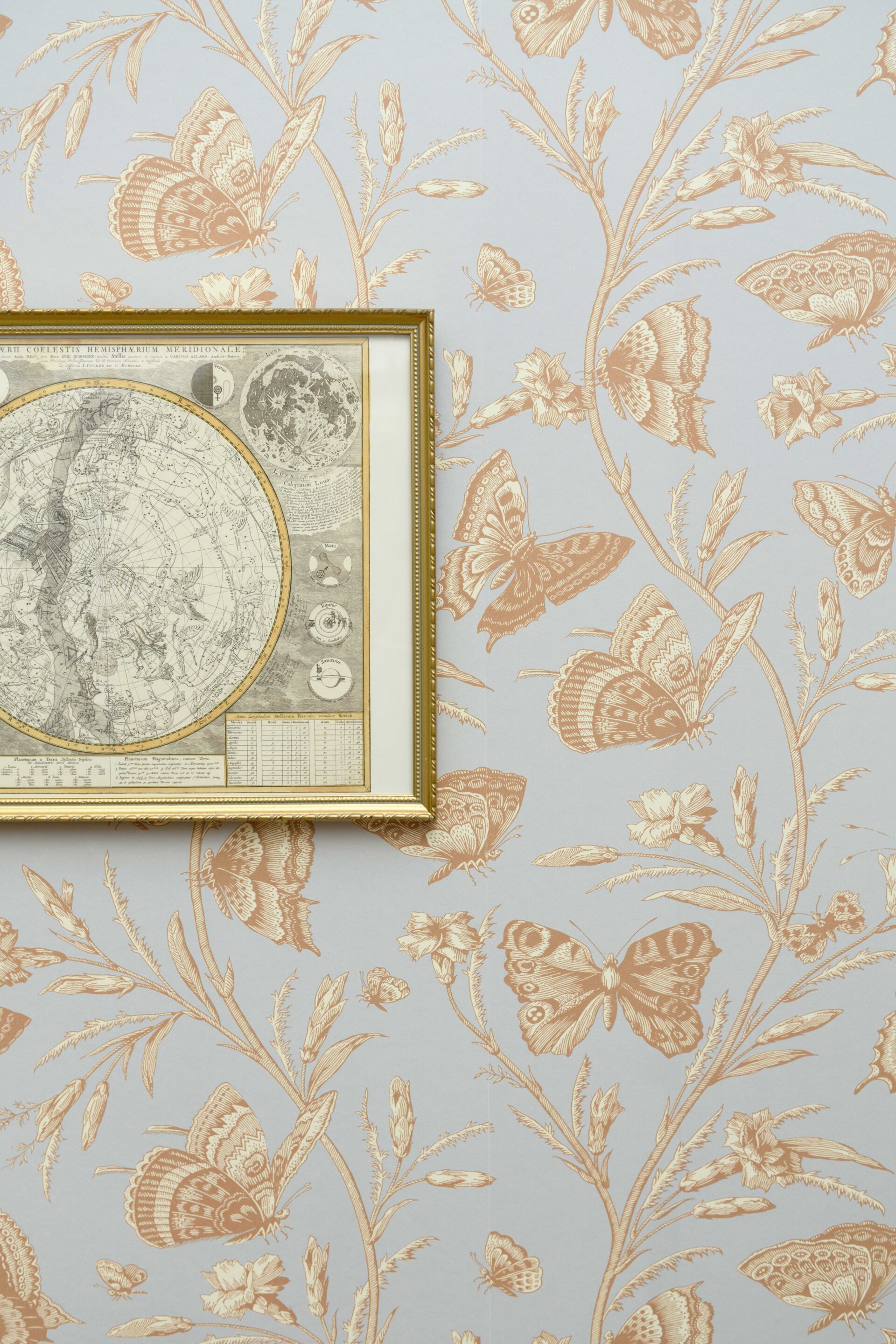 Цветочные узоры нетканые обои LELIEVRE Quenin-Belle Époque ARCH-00007690 - Вид №11