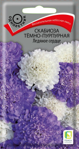 86217993 Семена цветов Поиск скабиоза Ледяное сердце темно-пурпурный 10 шт. STLM-0066947 Santreyd