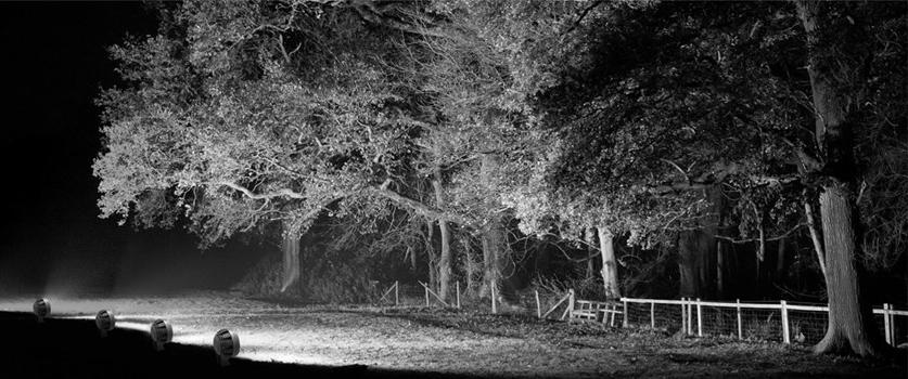 NEXO LUCE Регулируемый светодиодный проектор для улицы Projector nexo luce 2616 - Вид №1