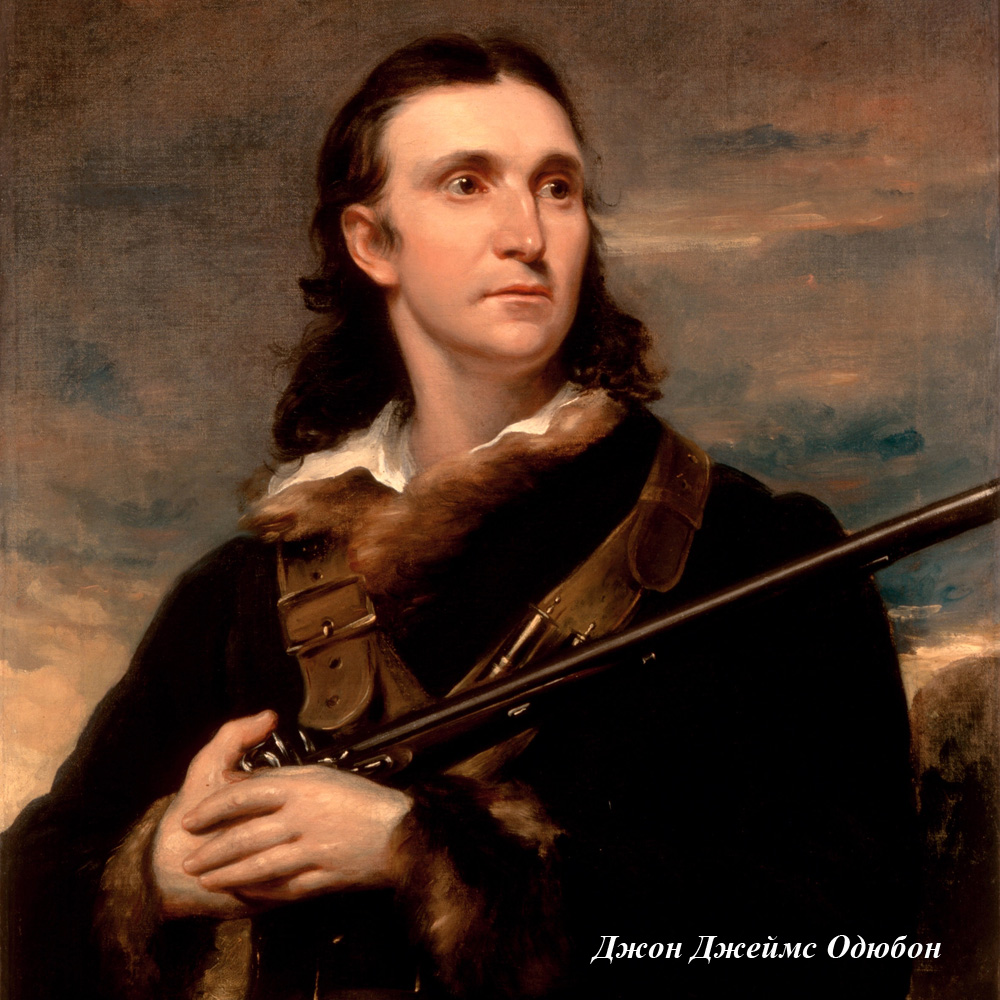 6111250_2628 Картина «Голиаф» (холст, галерейная натяжка) Object Desire  - Вид №1