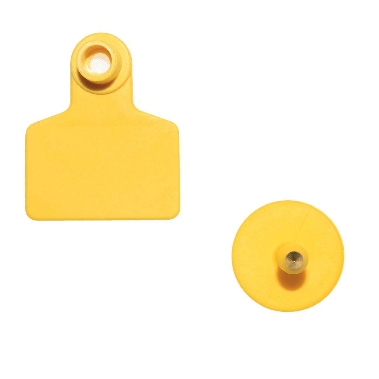 6518 Ушная бирка L LAB.Space  - Вид №1