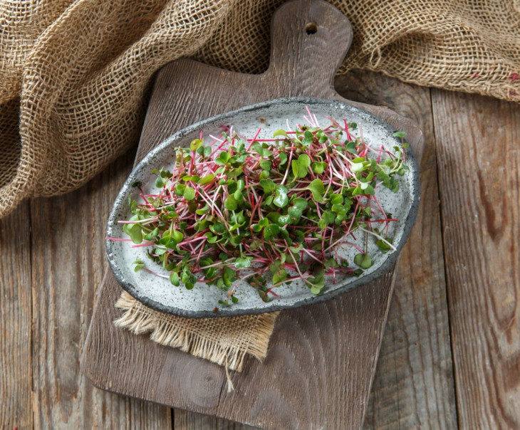 4173 Микрозелень редиса розового "Ред Коралл" Вкусляндия 