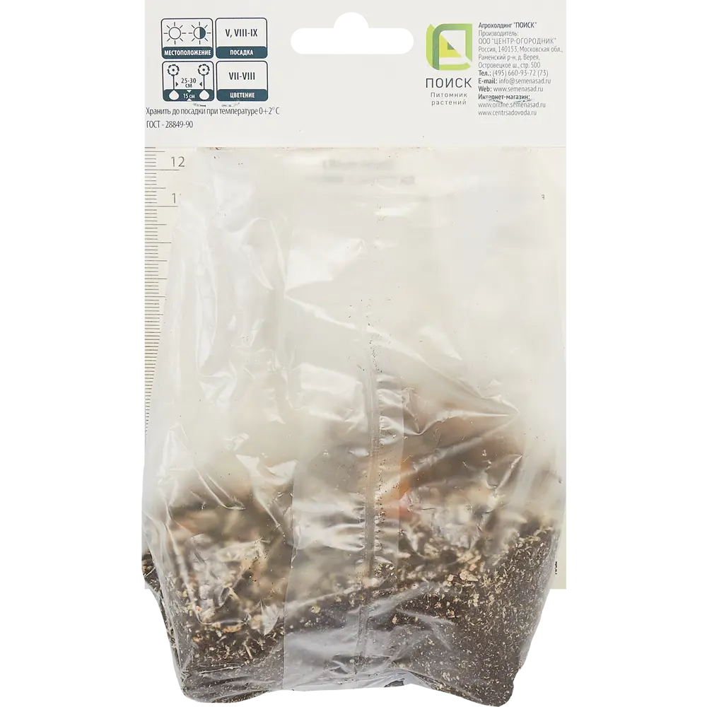 Лилия азиатская Тайни Комфорт ПОИСК STLM-2080704 - Вид №1