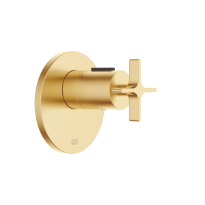 VAIA xTOOL Скрытый термостат без регулятора громкости 3/4 дюйма — матовая дюралюминий (23-каратное золото)