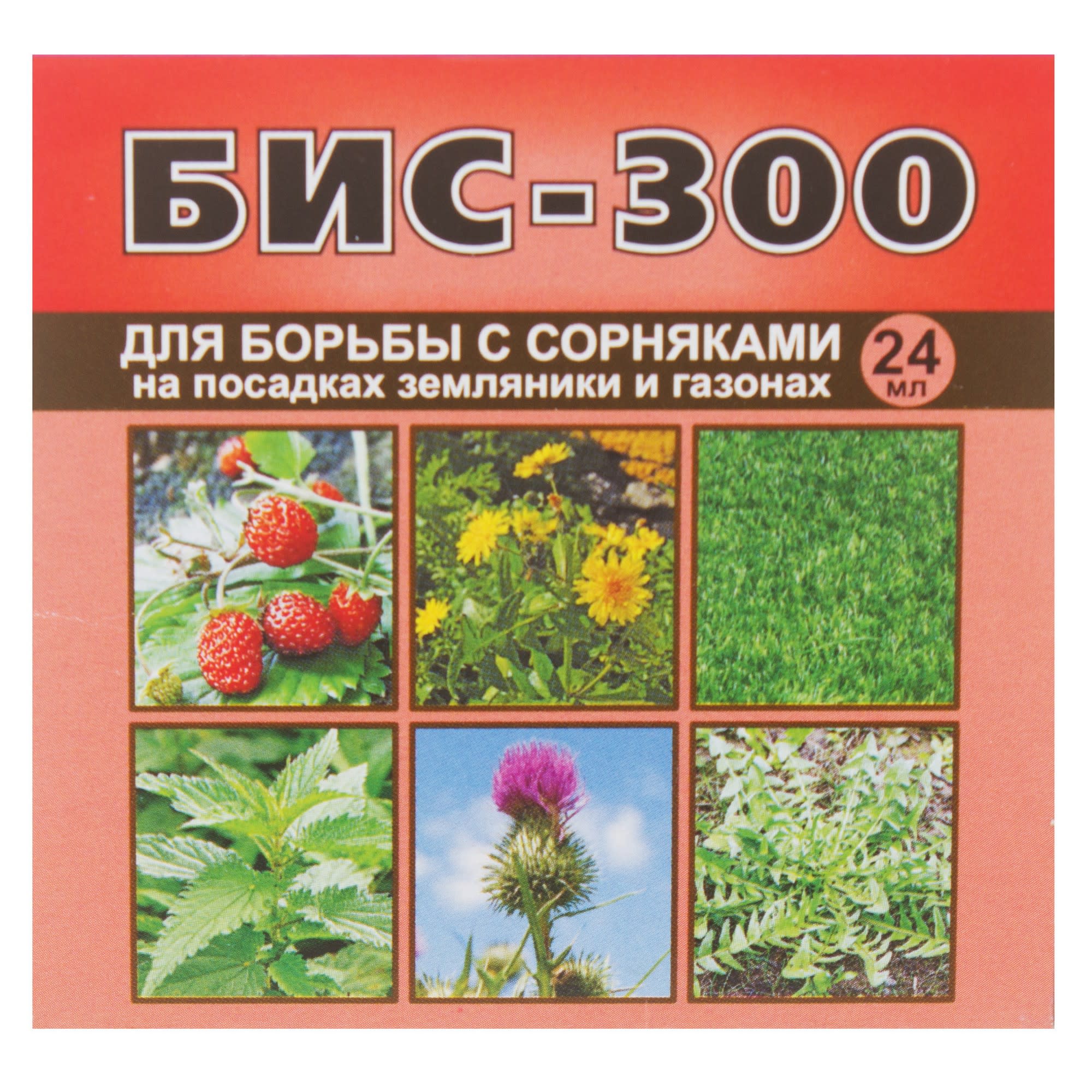15170555 Средство для борьбы с сорняками на посадках земляники и газонах «БИС-300» 24 мл Santreyd 