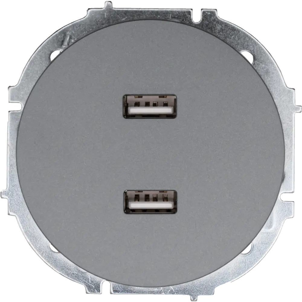 Розетка двойная USB встраиваемая Osen цвет серый 89424792 STLM-2137299 LEZARD - Вид №1