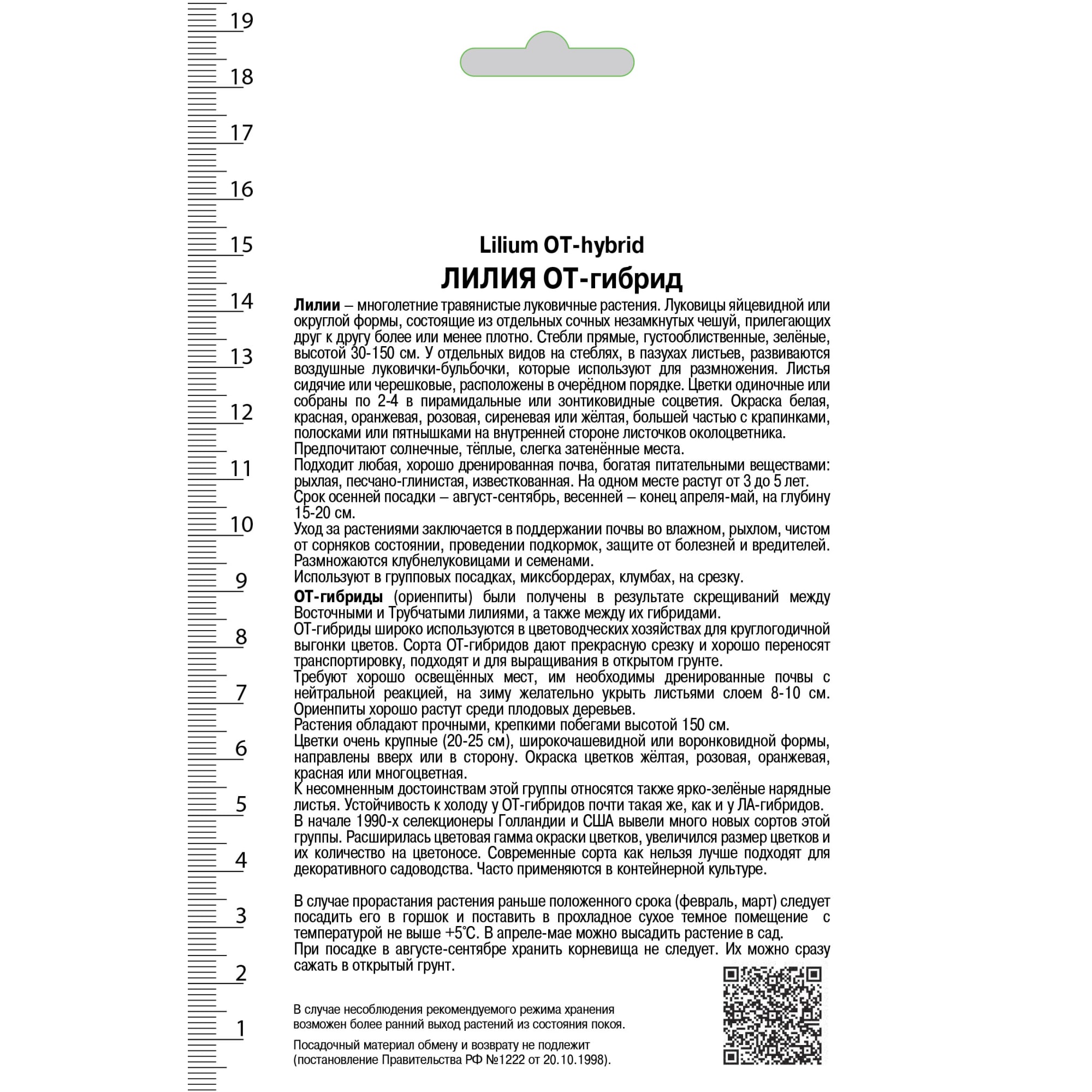 82000189 Лилия ОТ-гибрид «Мисс Фея», высота 50 см, 1 шт Santreyd  - Вид №1