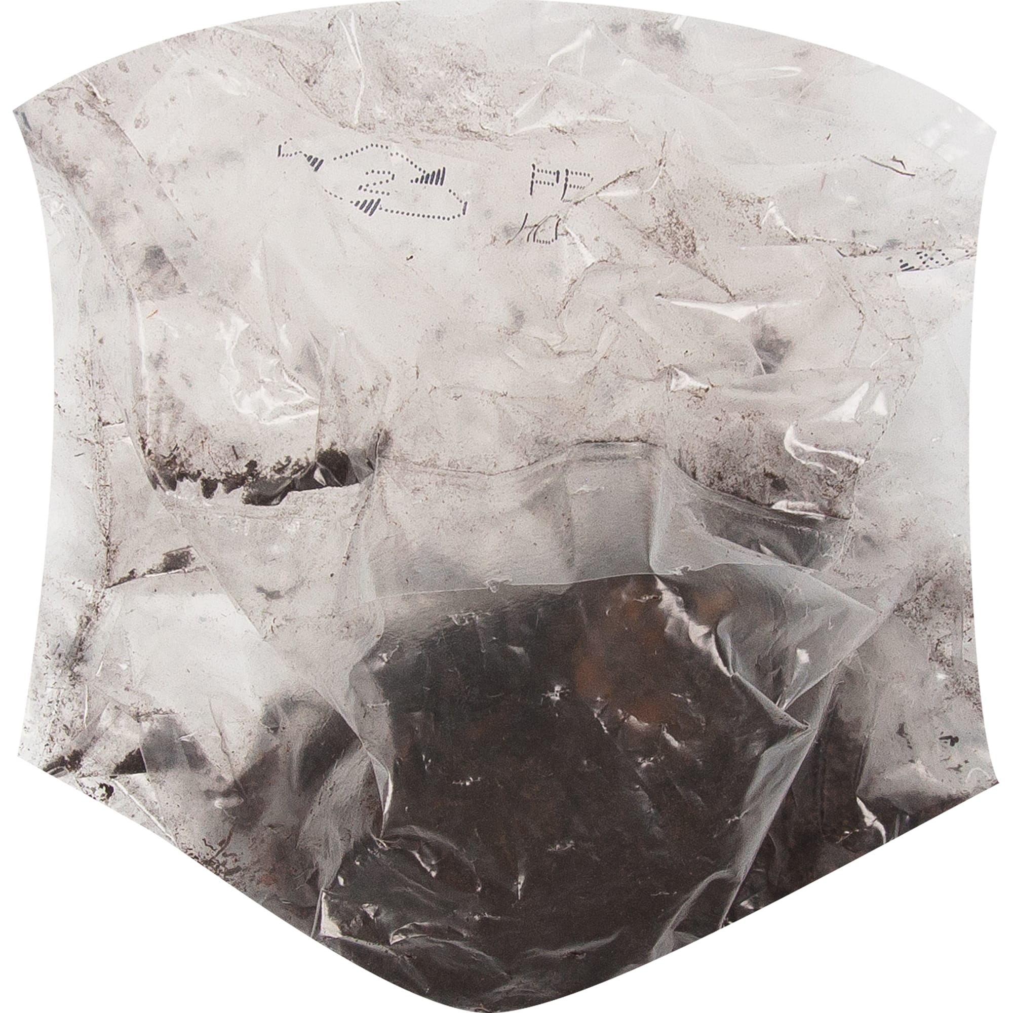 83760997 Лилия восточная Тайм Аут луковица 10/12 Santreyd  - Вид №2