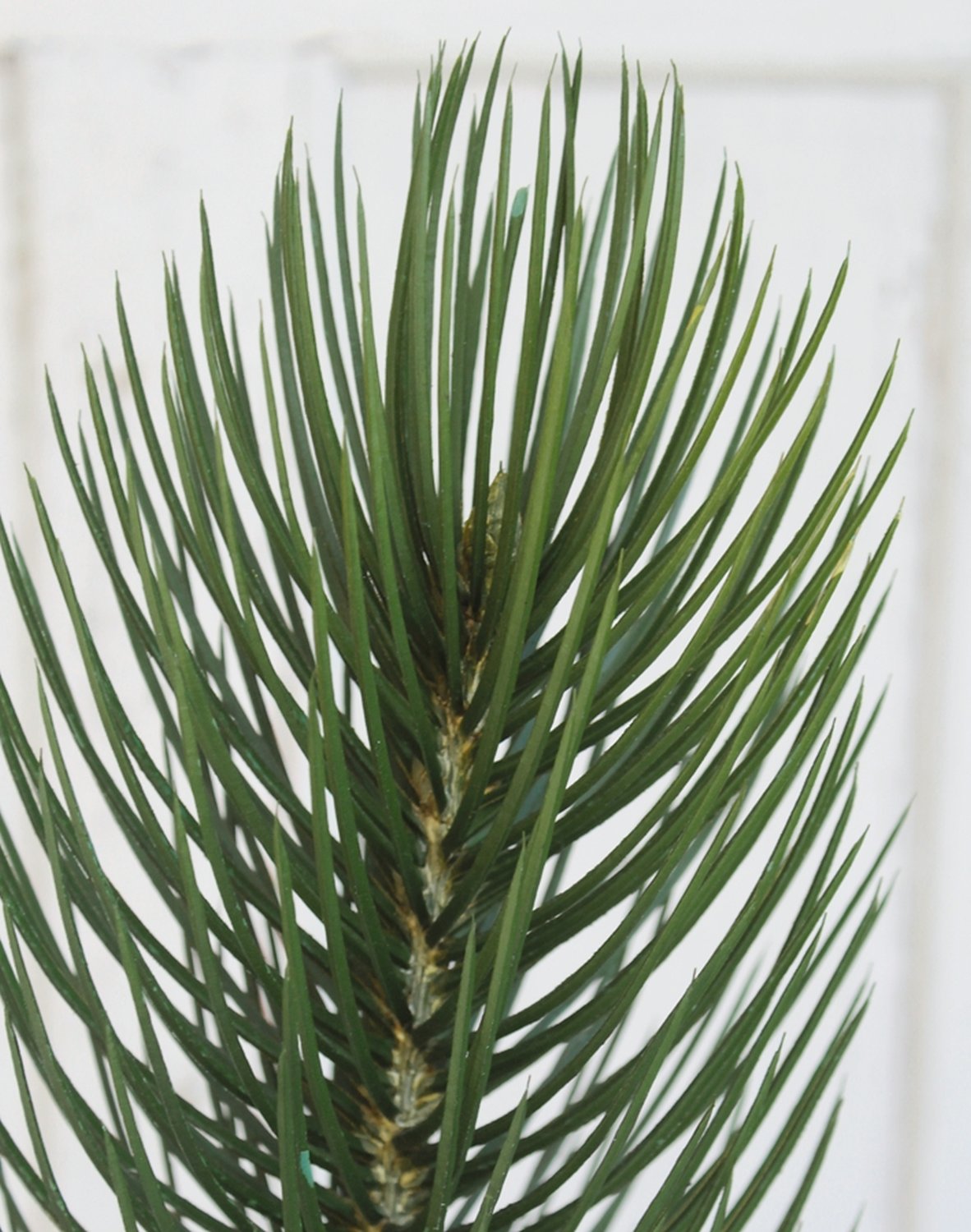 1884 883 a3 Искусственная веточка, 91 см, зеленая H-andreas 