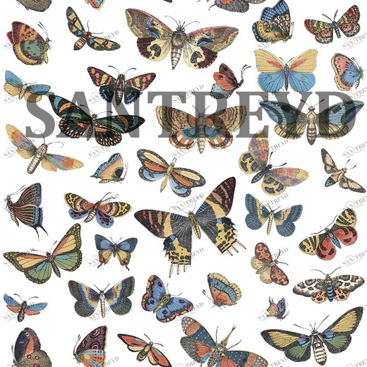 573010 Обои Ugepa Horizons