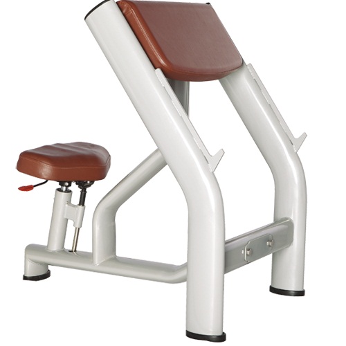 H-040A Bronze gym h-040a скамья скотта Bronze Gym 