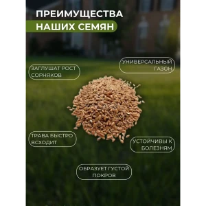 91722703 Смесь газонных семян Зеленый метр Универсальная 10кг STLM-0964337