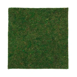 91383367 Мох натуральный листовой 45x40x0.5 см STLM-0821325