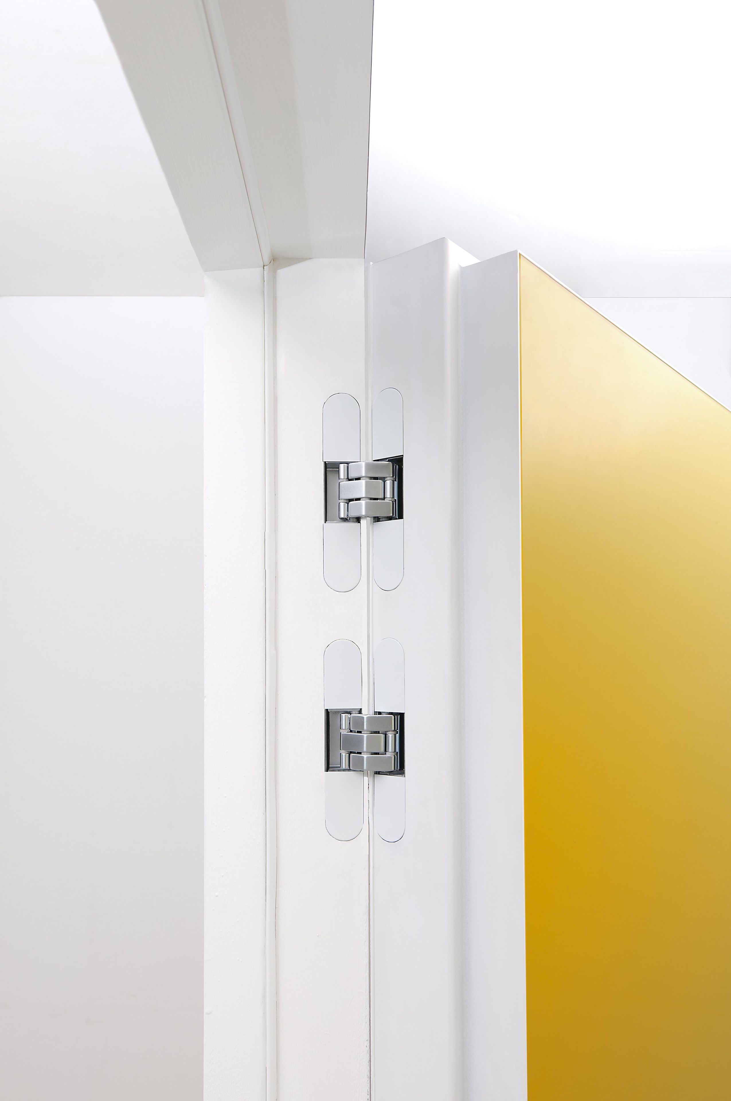 Стеклянная стена заподлицо распашная дверь ALBED Integra ARCH-00121802 - Вид №2