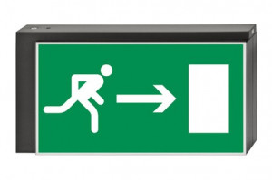 DST-822 Lisu pennant Daisalux Светильники аварийные Металлический Серый