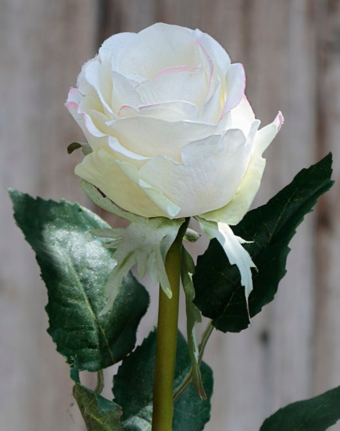 3258 705 a2 Бутоны роз искусственные, 60 см, бело-розовые H-andreas  - Вид №1