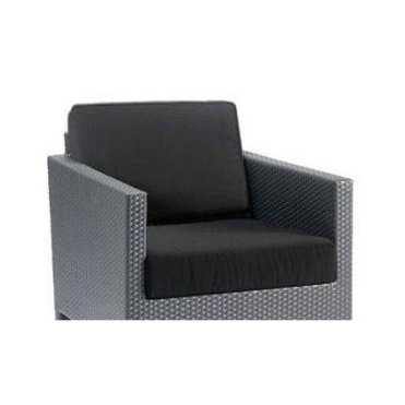 003518 Кресло Expormim Palmira  - Вид №2