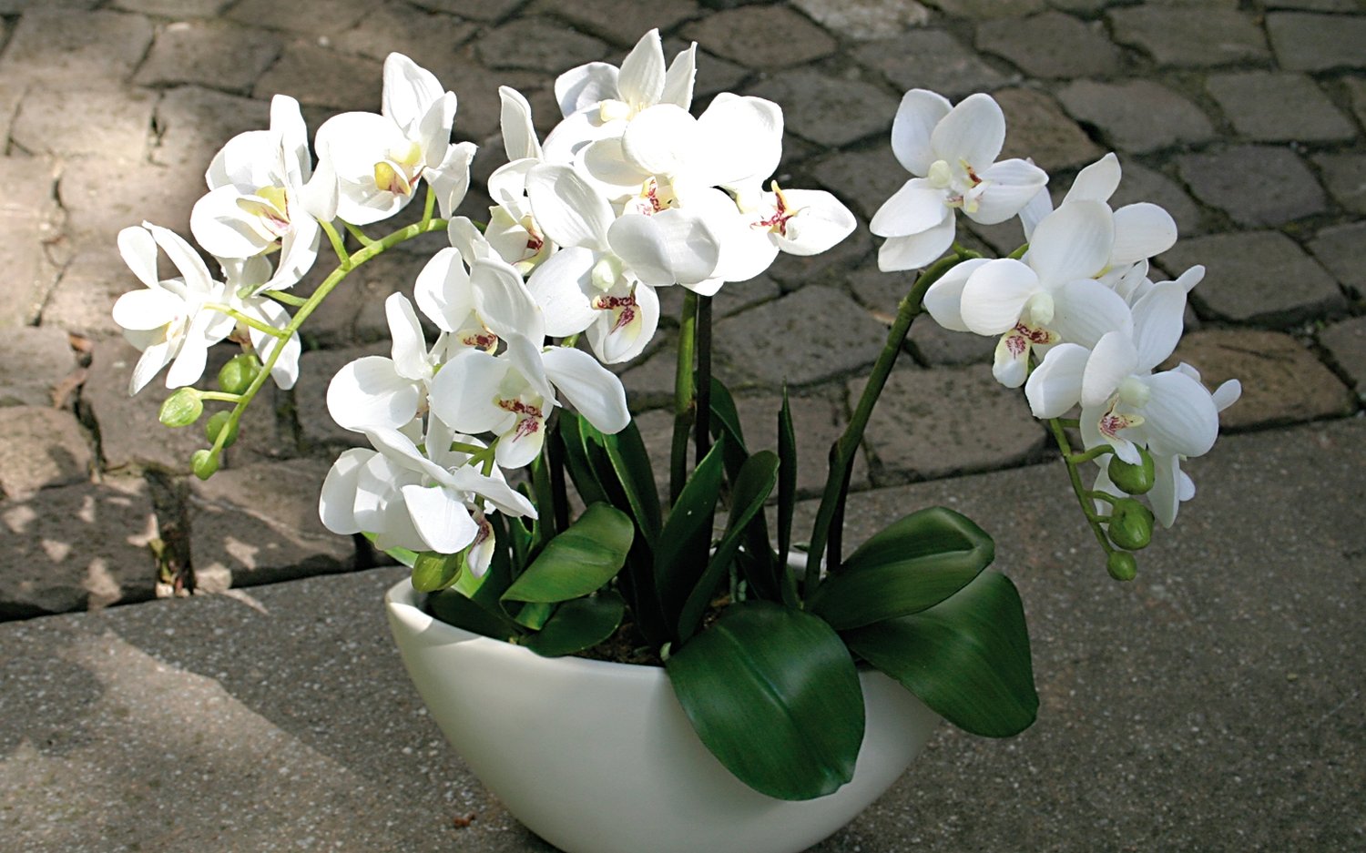 2609 777 a3 Пластиковая орхидея Phalaenopsis, 3-х кратная, в чаше, 38 см, real touch, белая H-andreas  - Вид №7