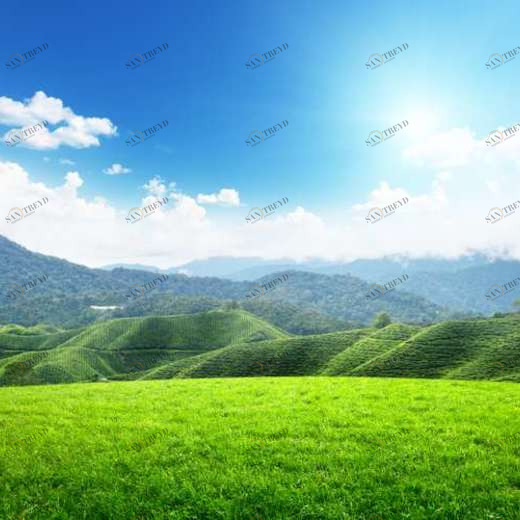 WP02533 Фотообои Verol Фотообои decoline 1х1 м