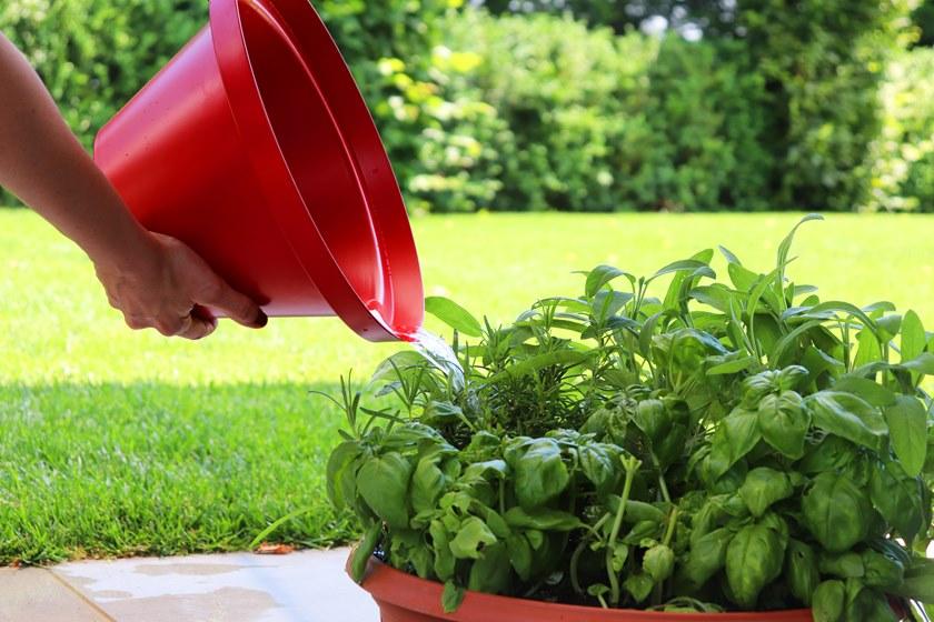 AQUAJET by Colortap Аксессуар для алюминиевых фонтанов Aquapoint 303 red - grn - wht - Вид №4