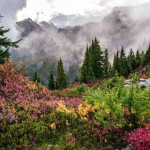 WP02141 Фотообои Verol Фотообои decoline 1х1 м