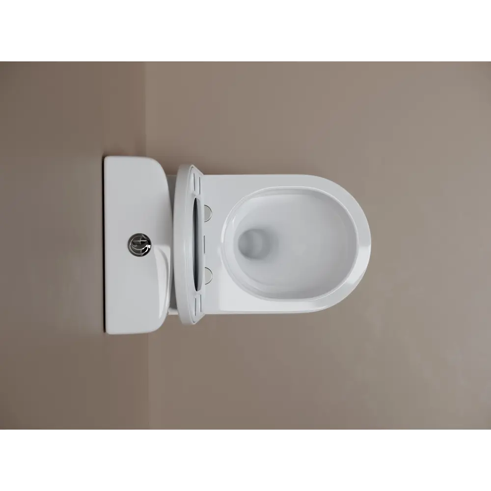 Унитаз-компакт Flo Round безободковый сиденье с микролифтом двойной смыв цвет Santreyd STLM-2029729 - Вид №4