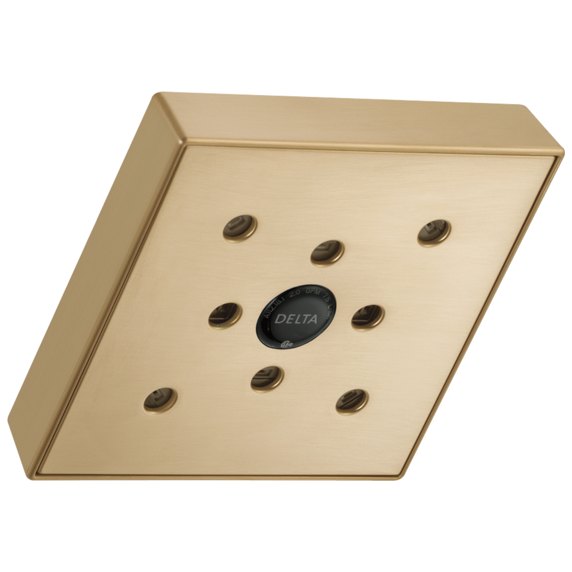 RP70171KS H2Okinetic® Душевая лейка Raincan с одинарной настройкой Delta Faucet Universal Showering Черный нержавеющий 