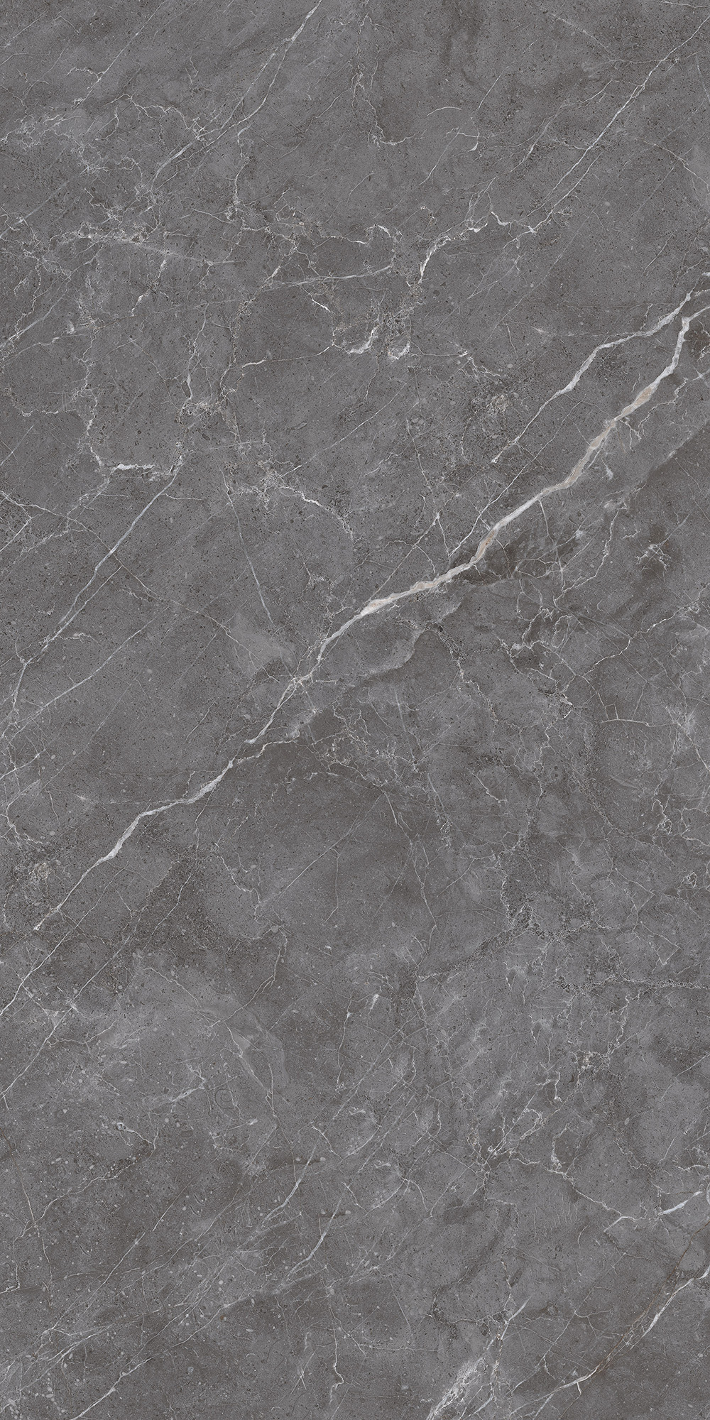 ESPERIA GRIGIO LAPPATO ARCADIA CERAMICA CL4003-A - Вид №8