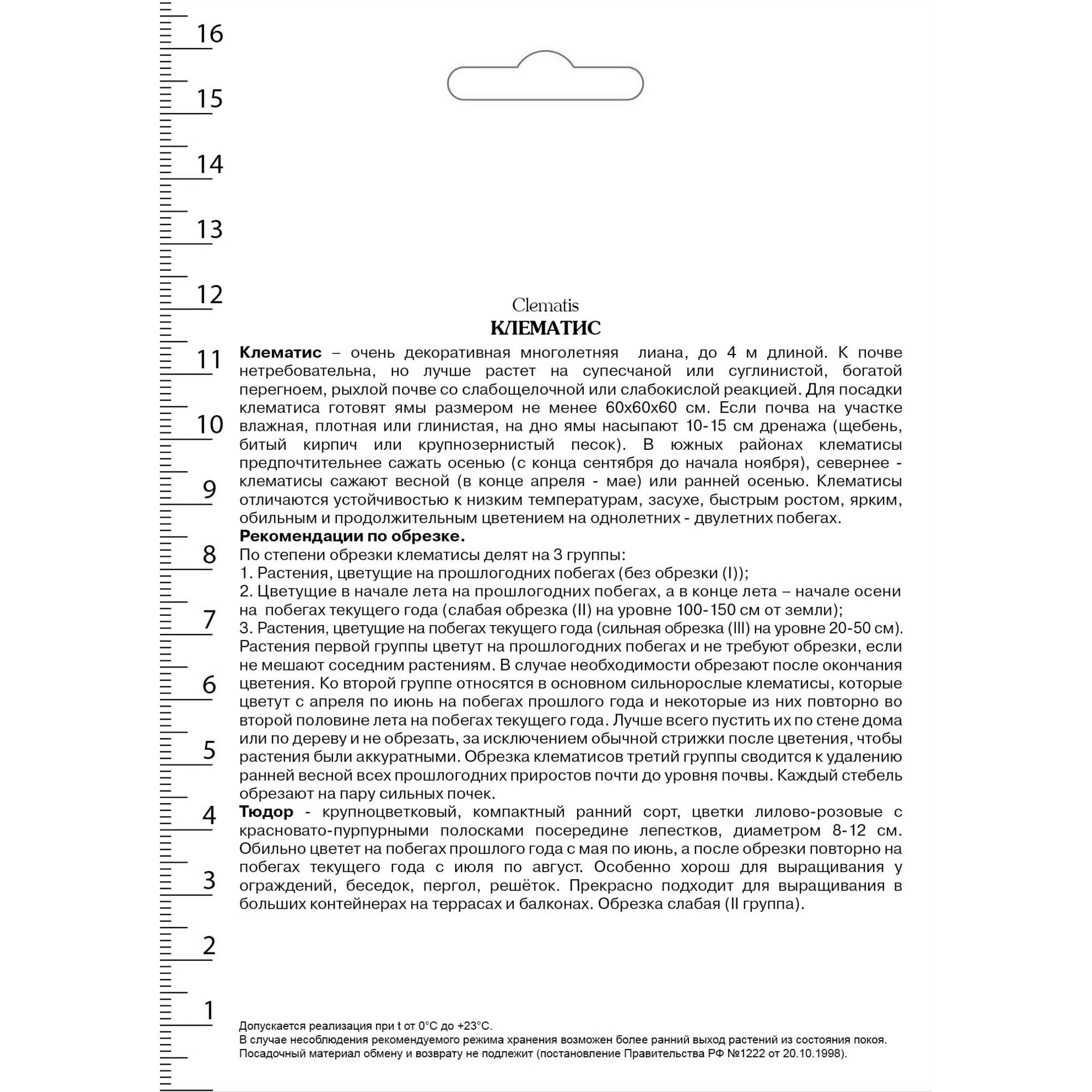82527583 Клематис крупноцветковый Тюдор в капере Santreyd  - Вид №1
