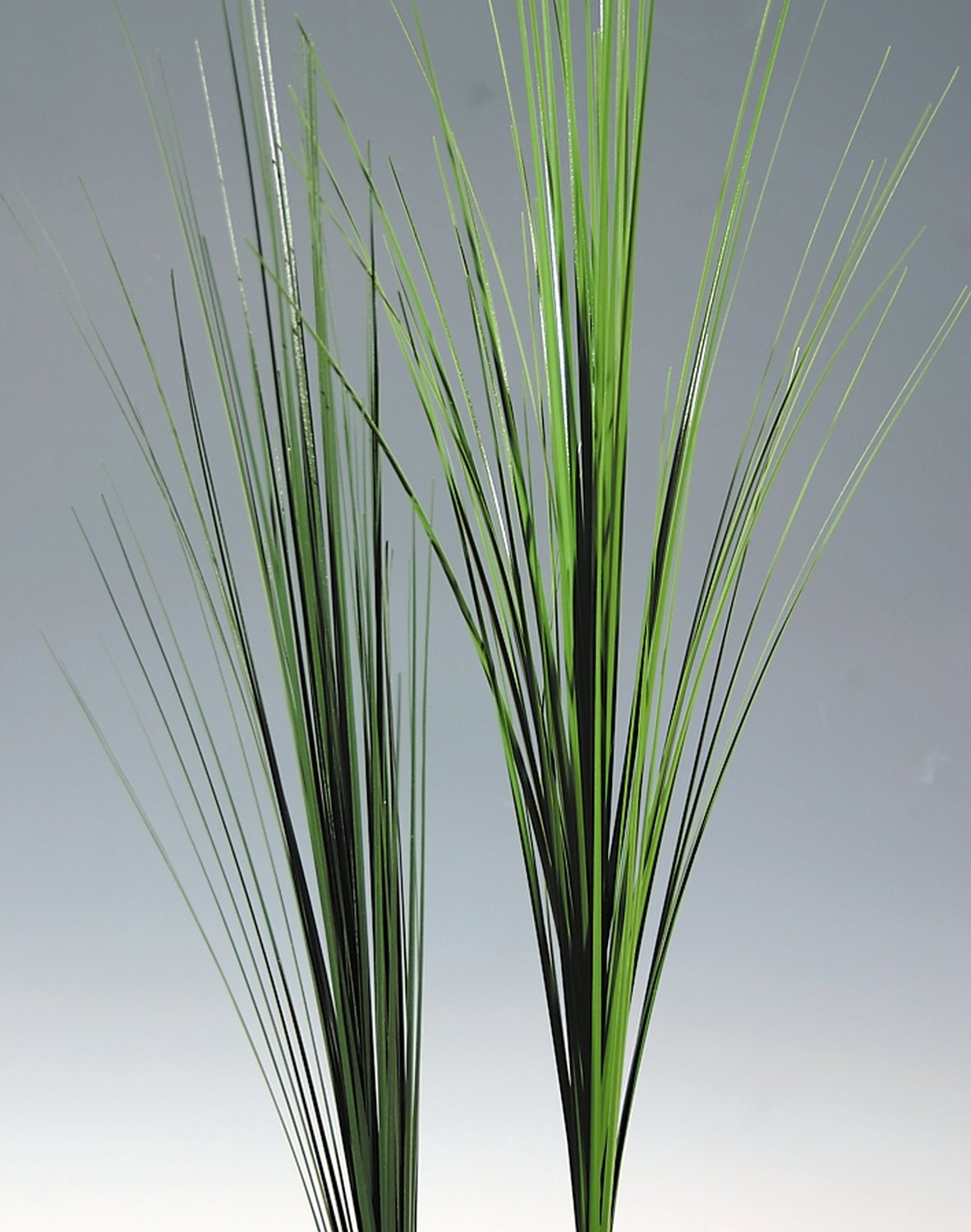 4851 888 a2 Искусственная китайская серебристая трава, 96 см, темно-зеленая H-andreas  - Вид №2