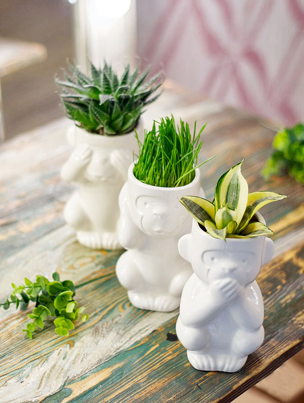 Горшок для растений Eco Молчун ЭКОЧЕЛОВЕКИ 2002 - Вид №4