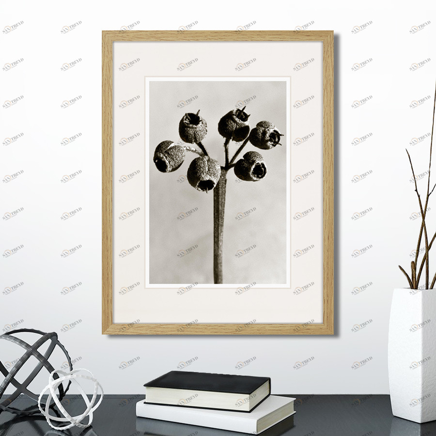 Картина: Botanical philosophy of forms №4, 1912г. КАРТИНЫ В КВАРТИРУ  264878 Разноцветный 