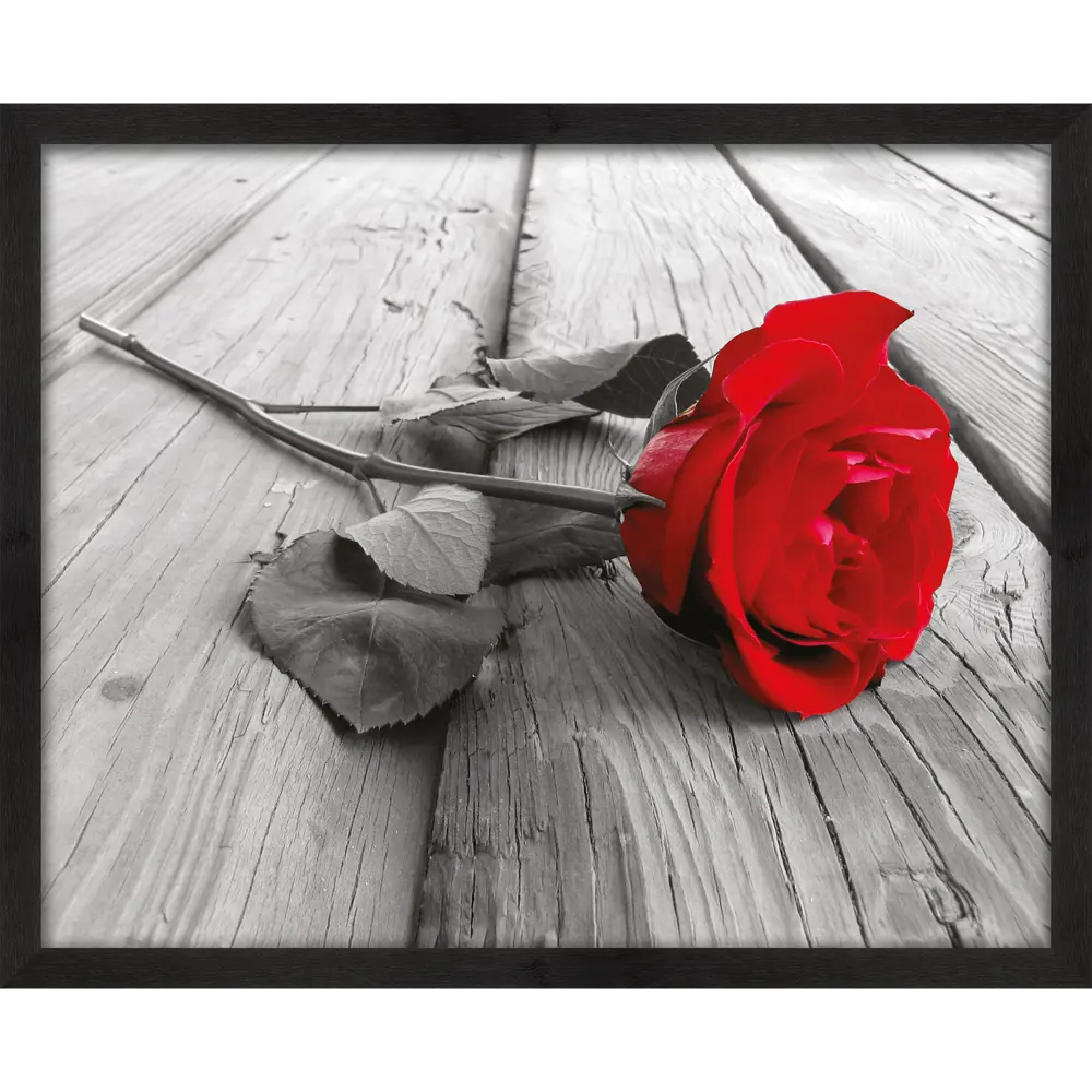 Картина в раме Роза 40x50 см 82718473 STLM-2103545 Santreyd 