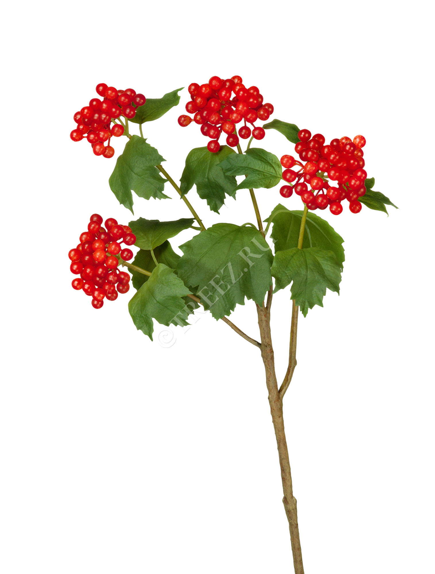 30.0611078 Калина бульдонеж ветвь с ягодами алая Цветочная коллекция 