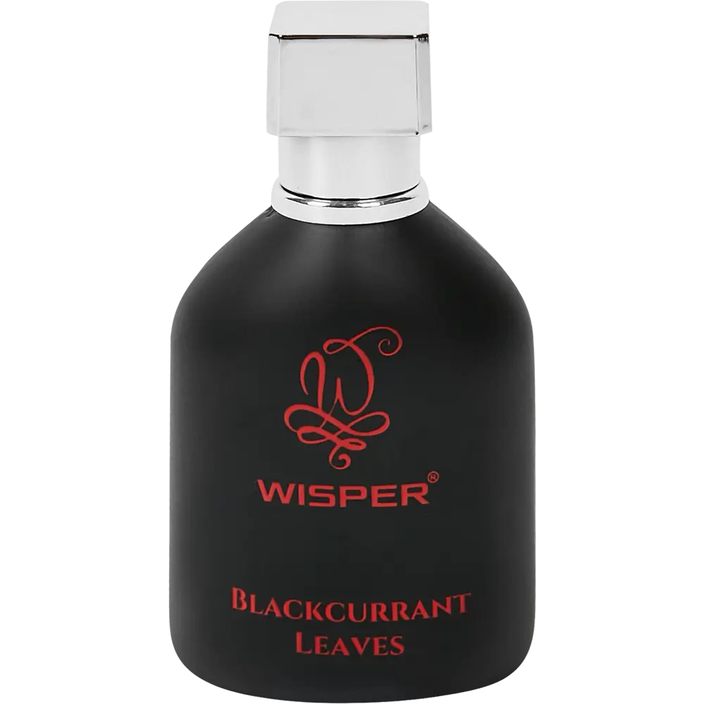 Ароматизатор Wisper Blackcurrant Leaves 30 мл STLM-2044366