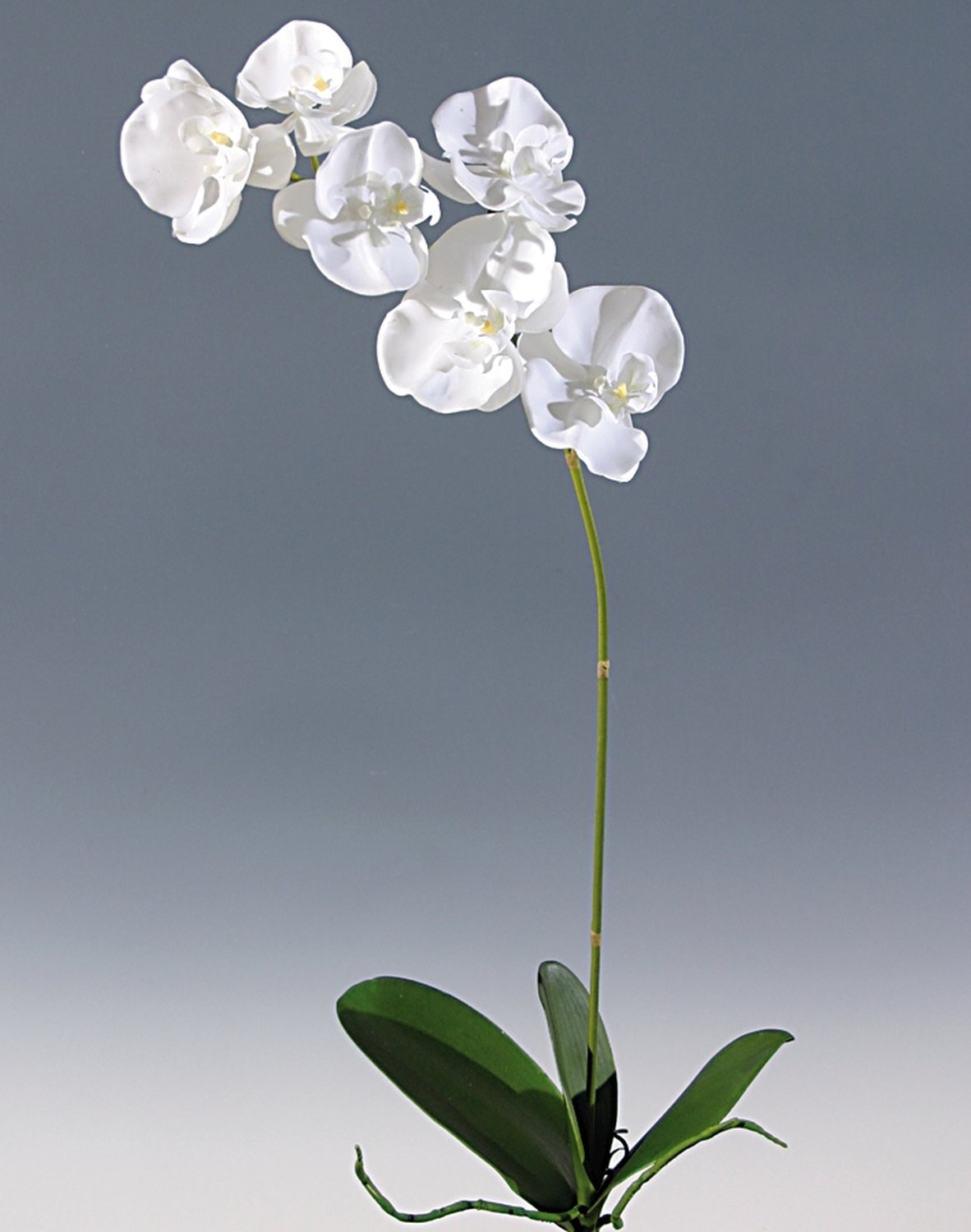 2526 700 a2 Искусственная орхидея Phalaenopsis, 73 см, real touch, чистый белый H-andreas 