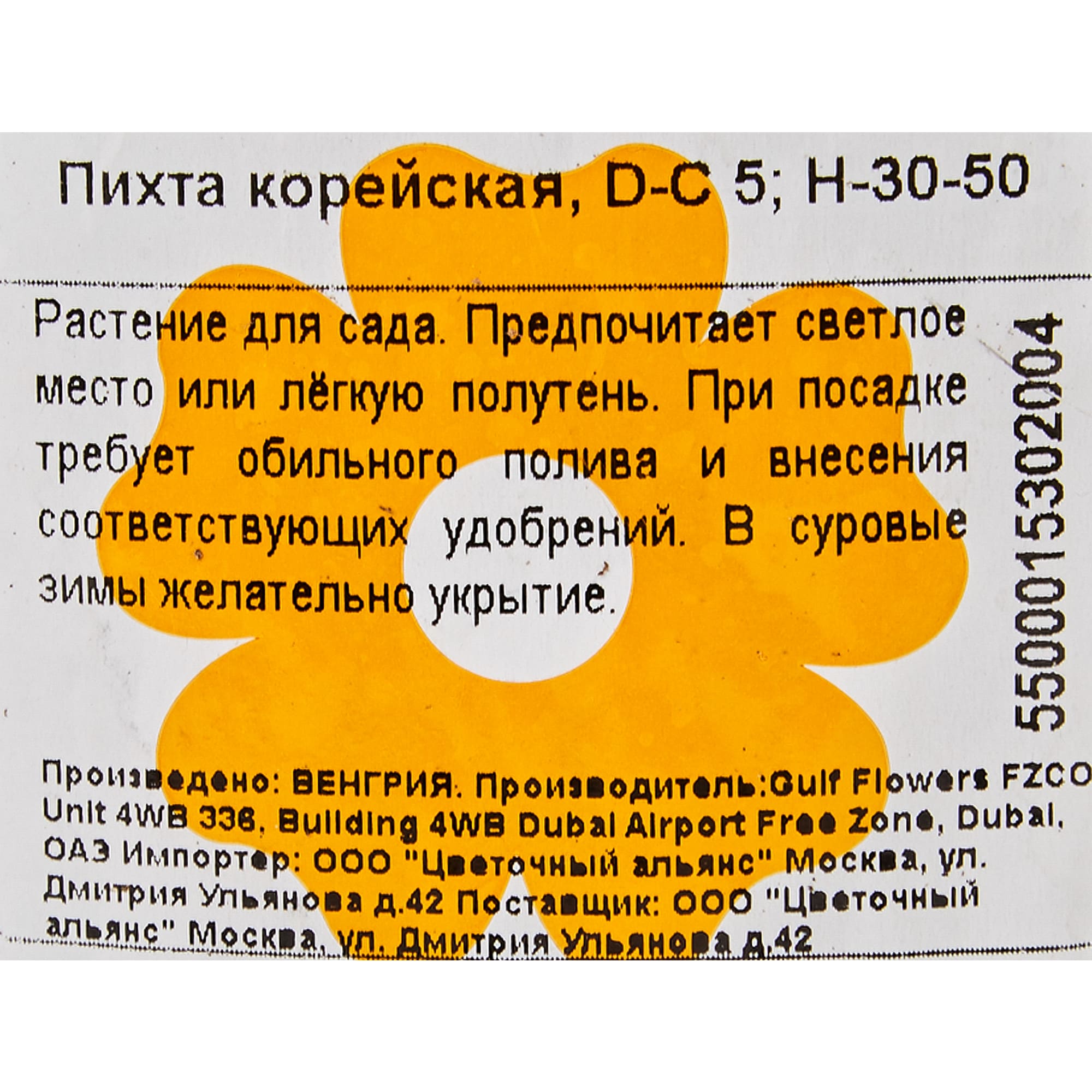 82601676 Пихта корейская 23x40 см Santreyd  - Вид №1