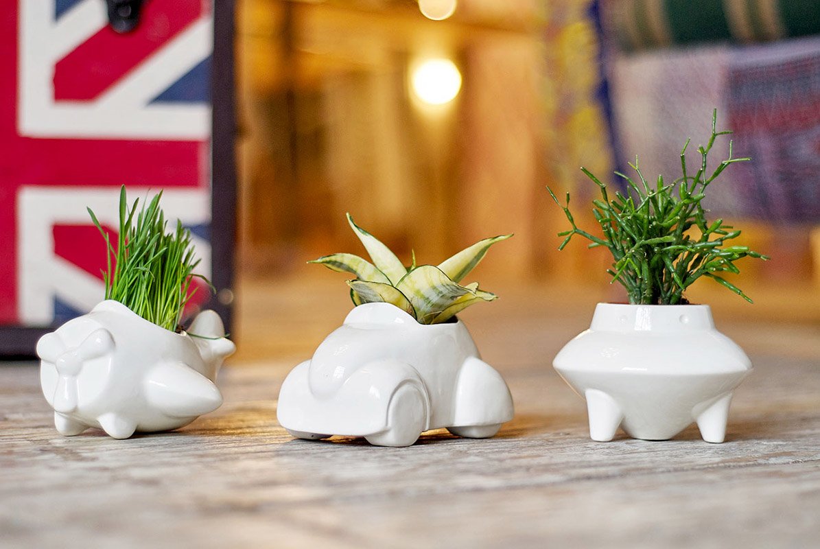 Набор для выращивания eco "Машина" ЭКОЧЕЛОВЕКИ  254575 Белый  - Вид №2