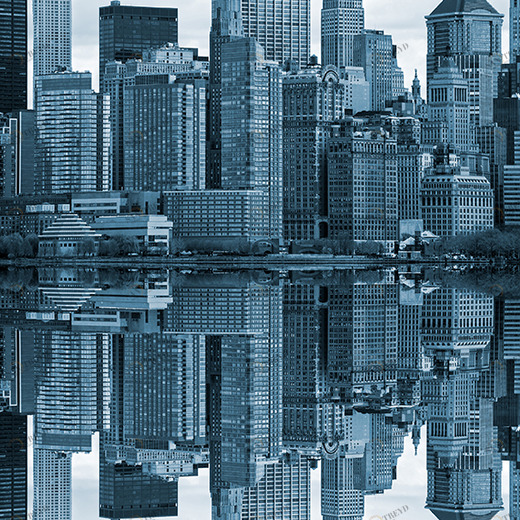 D2-041 Фотообои DIVINO Collection D 2.7х2 м D2041