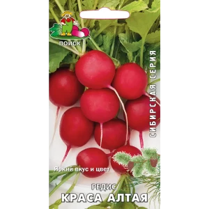 83123880 Семена Редис «Краса Алтая» STLM-1501559