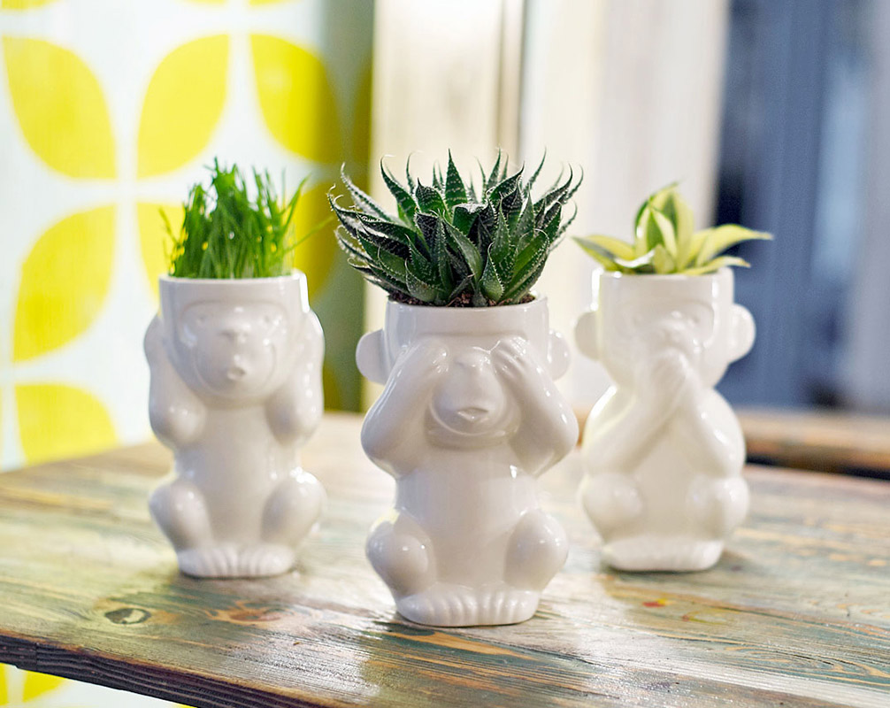 Горшок для растений Eco Молчун ЭКОЧЕЛОВЕКИ 2002 - Вид №3