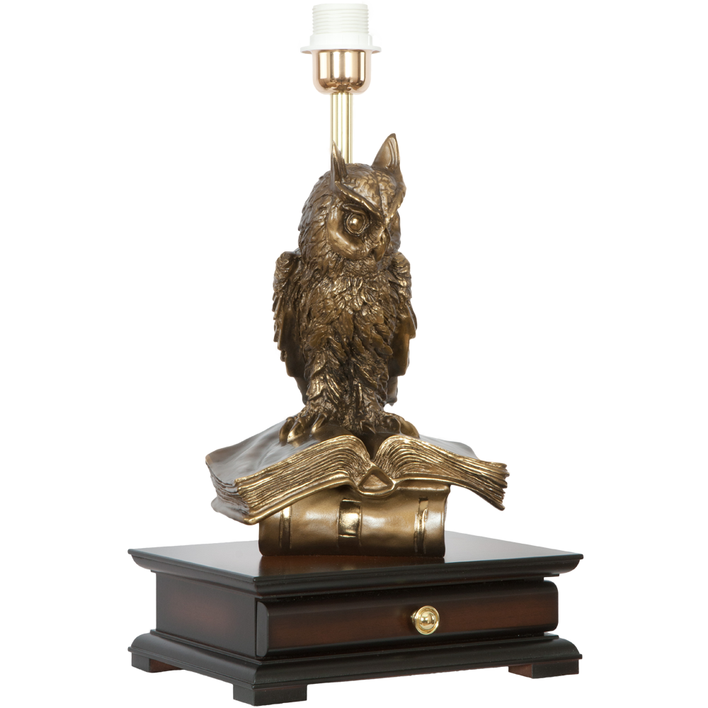 33006/1,34013 Настольная лампа с бюро Ученый Филин Карамель BOGACHO 4627138211540, 4627179657130 - Вид №3