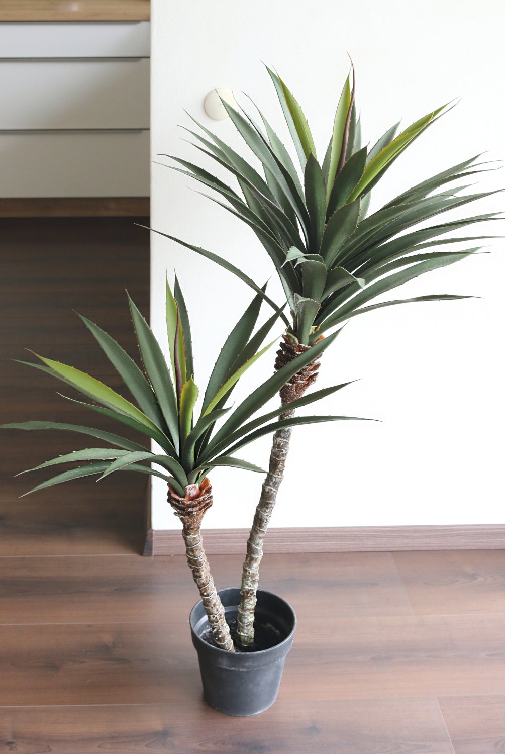 5936 883 a3 Искусственная пальма, 2 ствола, в горшке, 115 см, зеленая H-andreas  - Вид №5