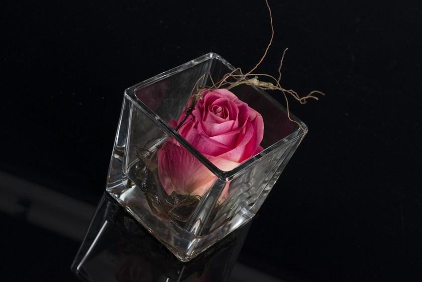 VGnewtrend Искусственное растение  1141708.47  - Вид №1