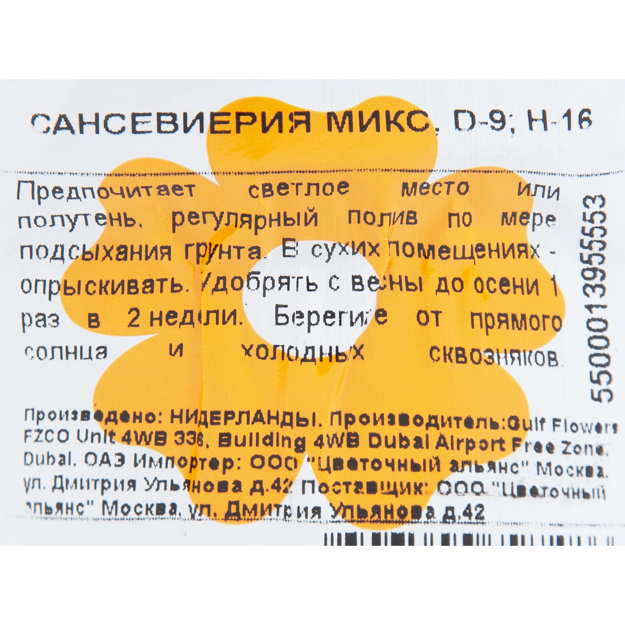 82850389 Сансевиерия микс 9х16 см Santreyd  - Вид №2