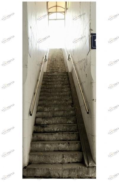 Koziel Гобелен из полиэстера  7904-07 