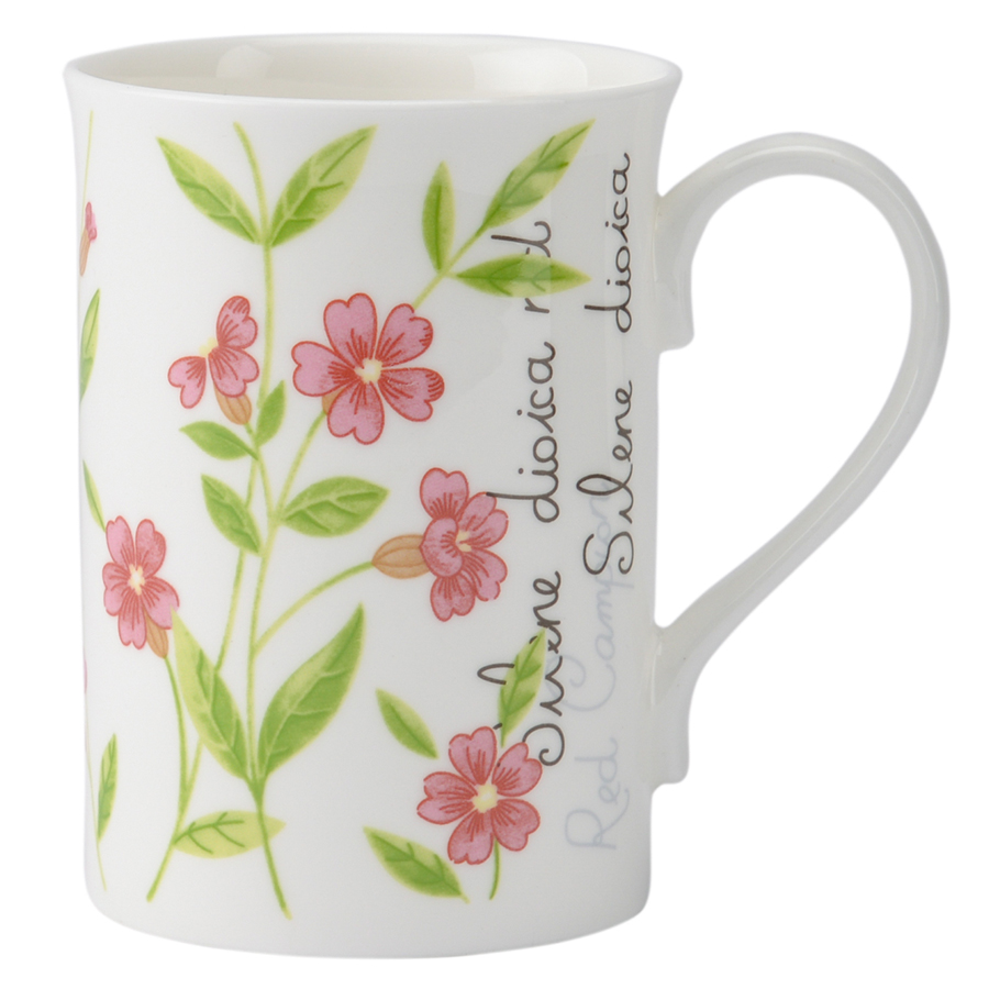 P_0043.007pk Кружка botanic 300 мл розовая Price&Kensington 