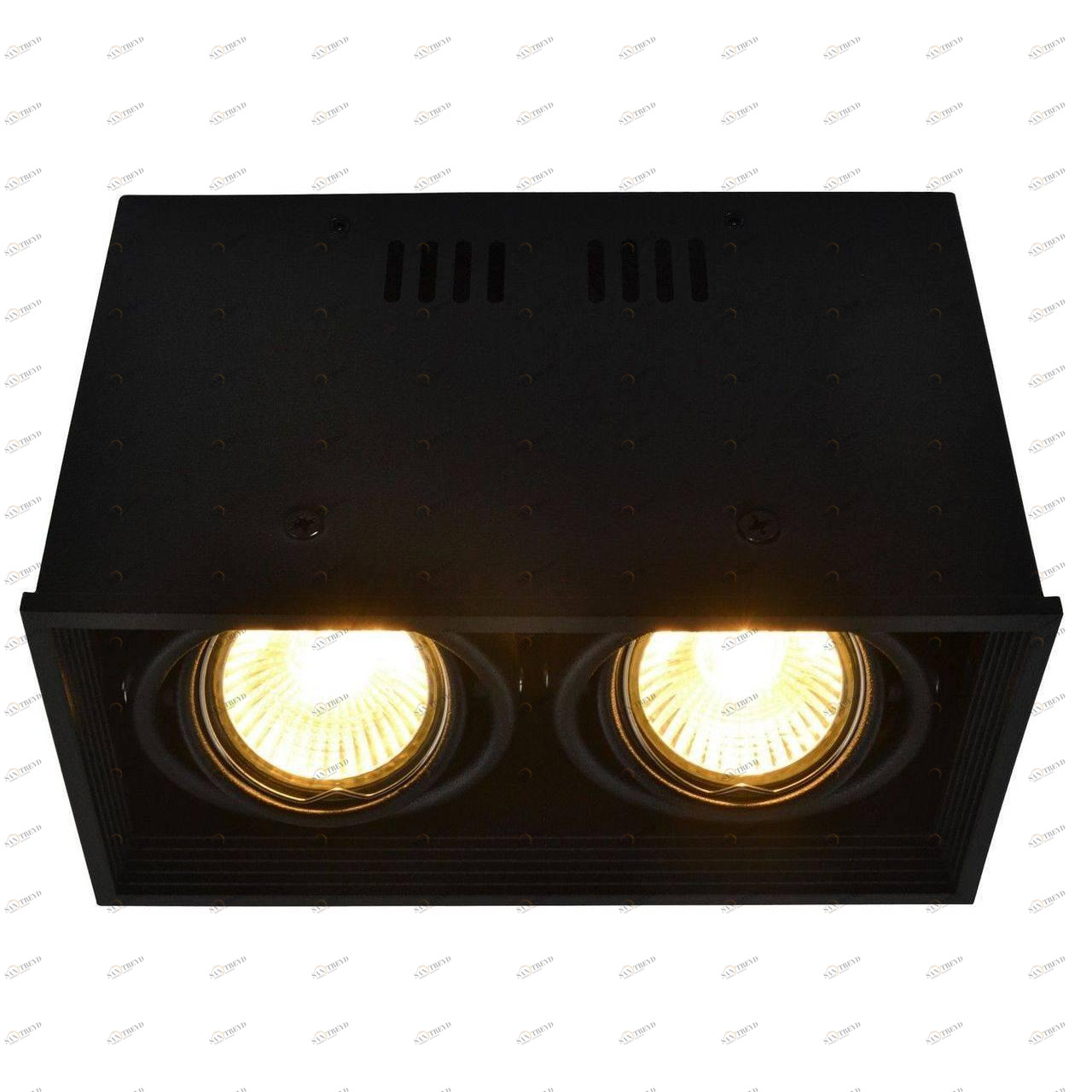 Потолочный светильник Arte Lamp Cardani A5942PL-2BK ARTE LAMP CARDANI BLACK 082904 Черный 